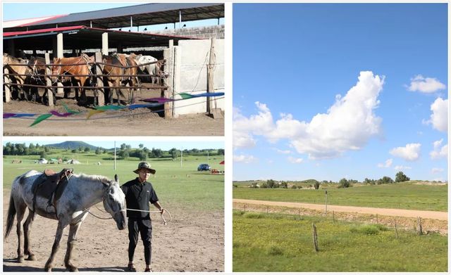 乾港集團高層草原自駕游
